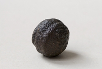 moqui knikker 5-2015 2259